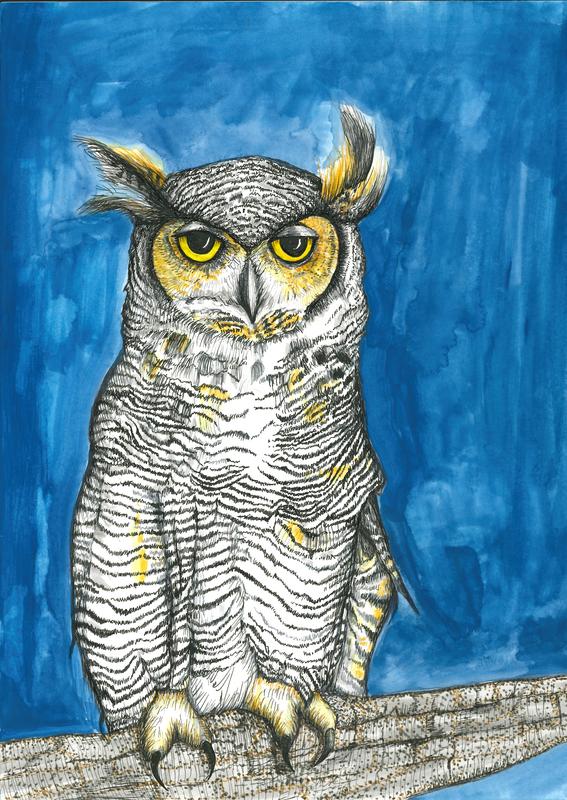 Great Horned Owl