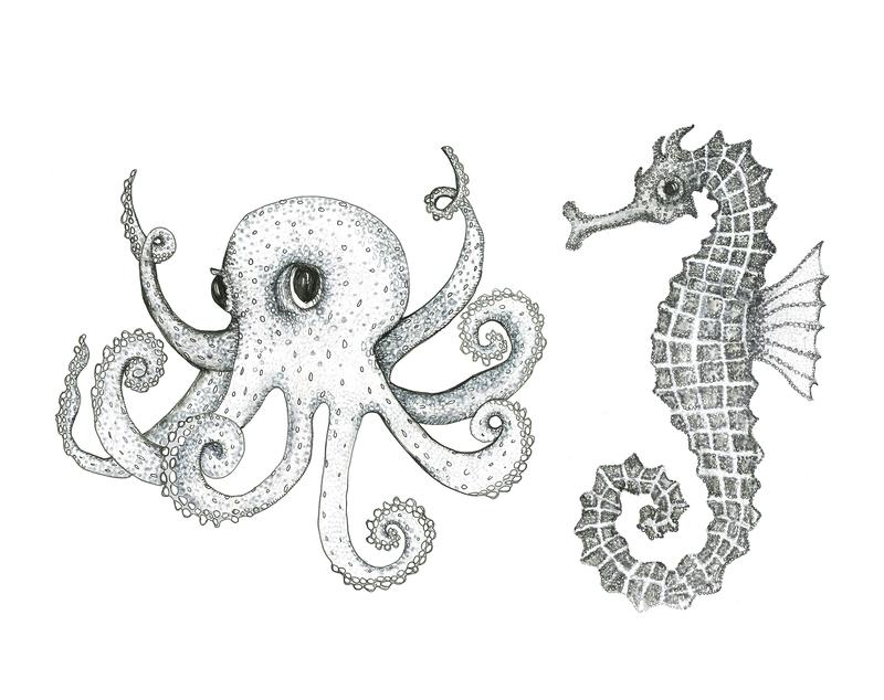 Octopus & Seahorse